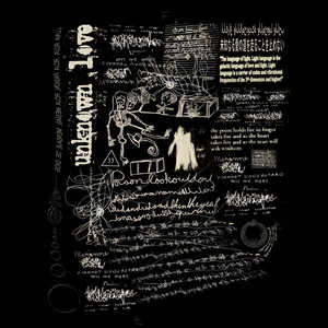 Shine: Salto a lo Desconocido