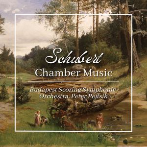 5 German Dances, D. 90 - No. 1 in C Major