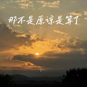 那不是原谅是算了