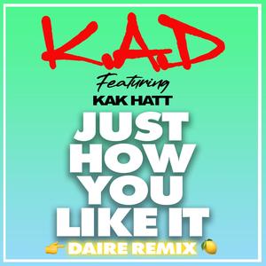 Just How You Like It (DAIRE Remix) [Explicit]