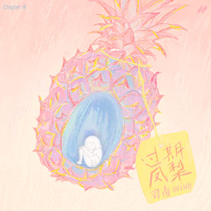 司南 - 过期凤梨