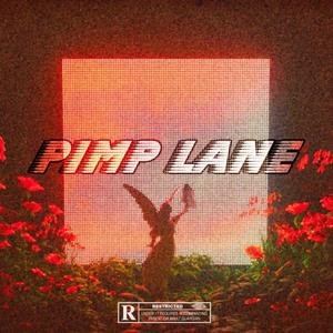 Pimp Lane (feat. Sadi) [Explicit]