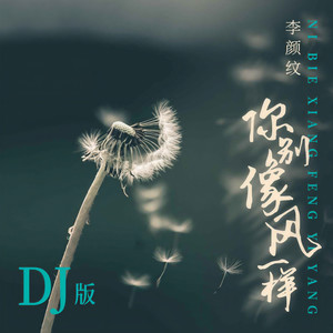 你别像风一样 (DJ版伴奏)