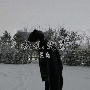 敬礼变装 (DJ版)