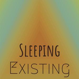 Sleeping Existing