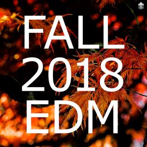 Fall 2018 EDM