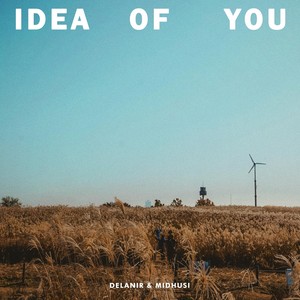 Idea of You