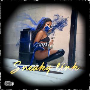 Sneaky Link (Explicit)