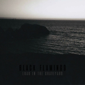 Black Flamingo - Proud Head