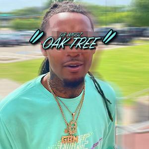 Oak Tree (Explicit)