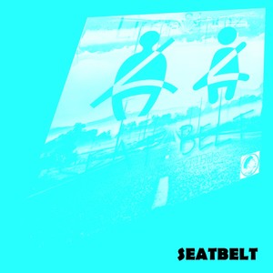 Seatbelt