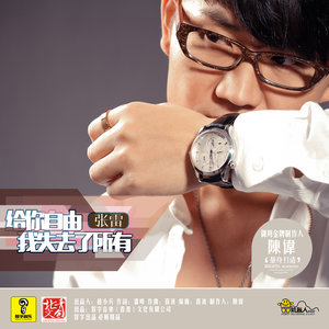 给你自由我失去了所有 (伴奏)