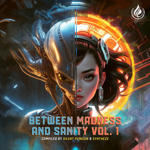 Between Madness And Sanity (Compiled Silent Penguin & Syntheze Vol.1)