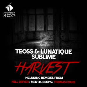 Harvest (Original Mix)