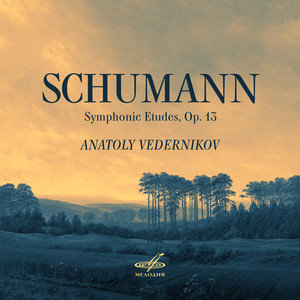 Symphonic Etudes, Op. 13: Theme - Andante