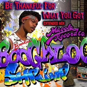 Be Thankful For What You Got (DJ Flash Remix Extended Mix)