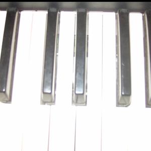 Honeybugs.m4a (feat. tsuyouma)