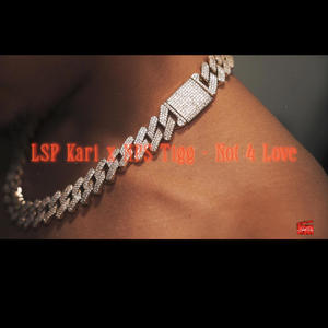 Not For Love (feat. NPS Tigg) (Explicit)