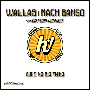 Ain't No Big Thing (Da Funk Junkies Remix)