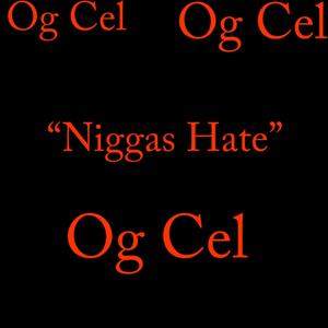 Niggas Hate (Explicit)