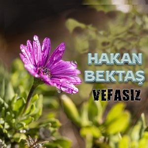 Vefasız