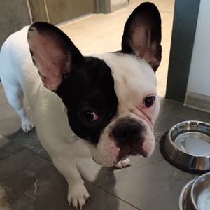 Кто в магаз пойдёт?