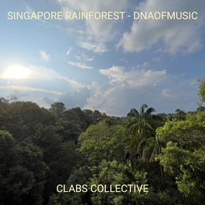 Singapore Rainforest - DNAofMusic