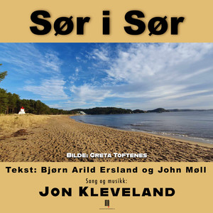 Ein holme foll a blåbær