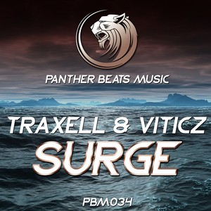 Surge (Original Mix)
