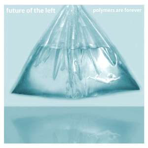 Polymers Are Forever (Explicit)