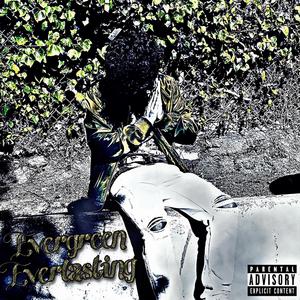 Evergreen Everlasting (Explicit)