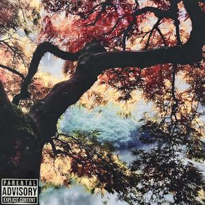 THE VOICE IS BACK AGAIN! (feat. 2olo 3yris) (Explicit)