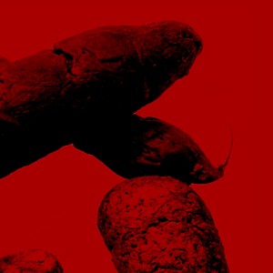 Biopsia (Morphly Remix)