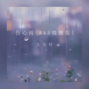 伤心雨 (R&B微醺版)封面