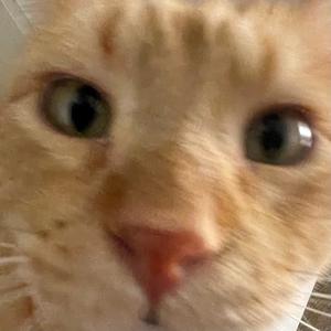 I DONT EVEN LACE MY SHOES NO MORE (Explicit)