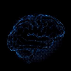 Whispers In The Rain