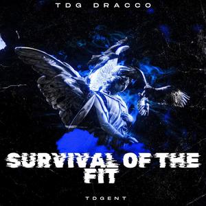 Survival Of The Fit (Explicit)