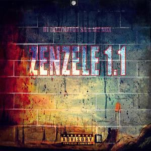 Zenzele 1.1 (Stance Music)