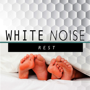 White Noise: Birds in the Fountain
