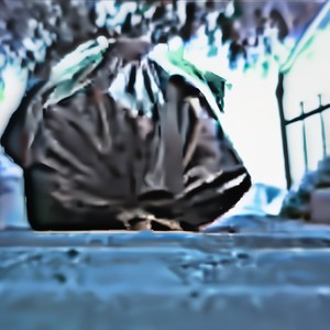 Translucent Skin (Explicit)