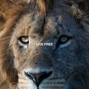 Live Free