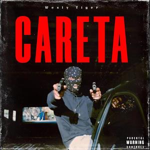 CARETA (Explicit)