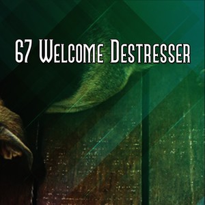 67 Welcome Destresser