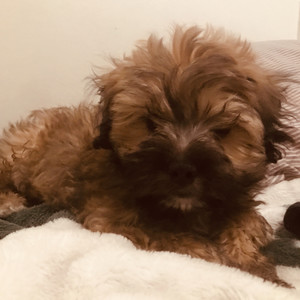 Weekend Shift (Explicit)