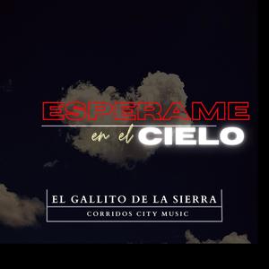 Esperame en el Cielo