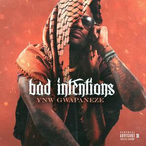 BAD INTENTIONS (Explicit)