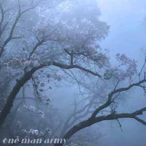 one man army (Explicit)