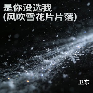 是你没选我 (风吹雪花片片落)