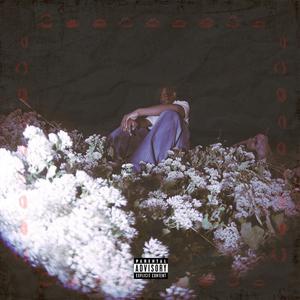 It Gets Better (feat. Vlientele & Fjfrossy) (Explicit)