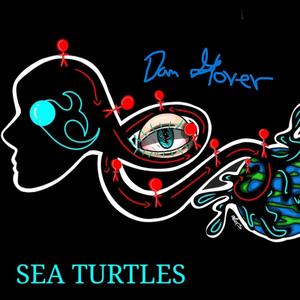 Sea Turtles